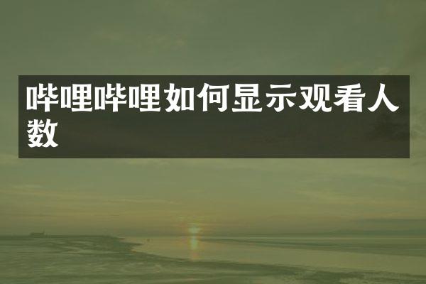 哔哩哔哩如何显示观看人数