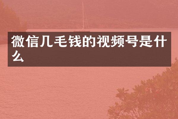 微信几毛钱的视频号是什么