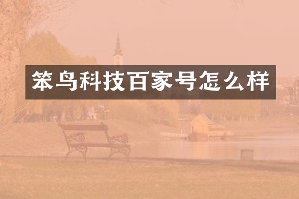 笨鸟科技百家号怎么样