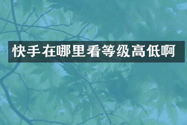 快手在哪里看等级高低啊