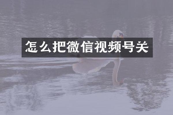 怎么把微信视频号关