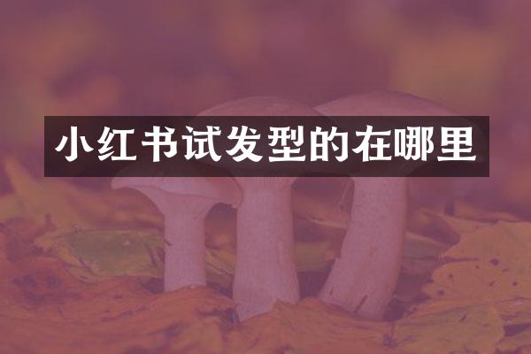 小红书试发型的在哪里