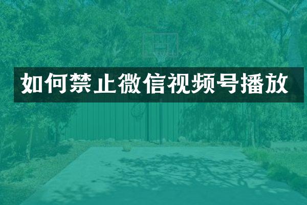如何禁止微信视频号播放