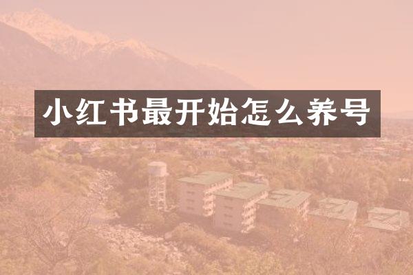 小红书最开始怎么养号