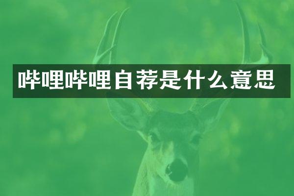 哔哩哔哩自荐是什么意思
