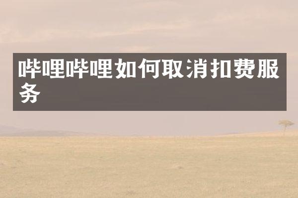 哔哩哔哩如何取消扣费服务