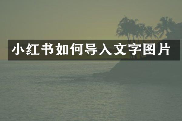小红书如何导入文字图片