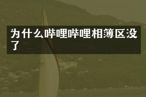 为什么哔哩哔哩相簿区没了