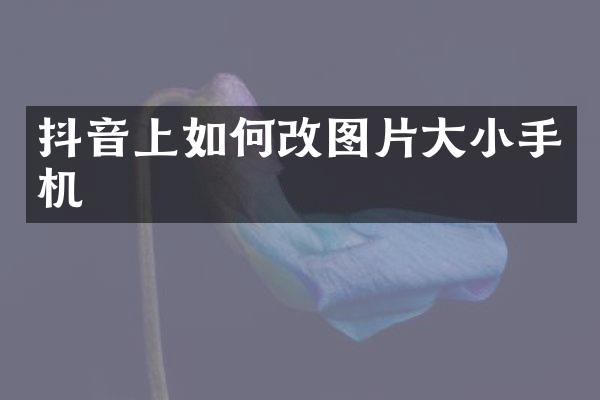 抖音上如何改图片大小手机