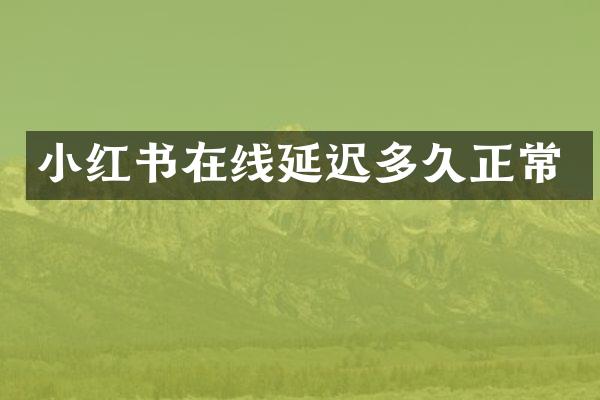 小红书在线延迟多久正常