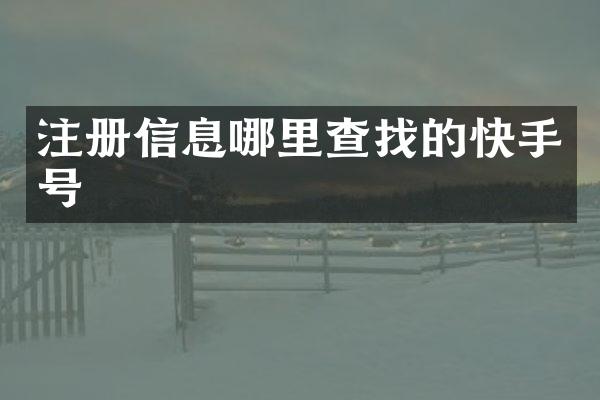 注册信息哪里查找的快手号