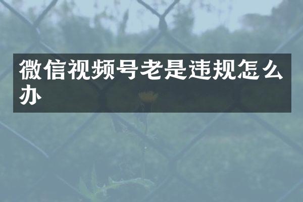 微信视频号老是违规怎么办
