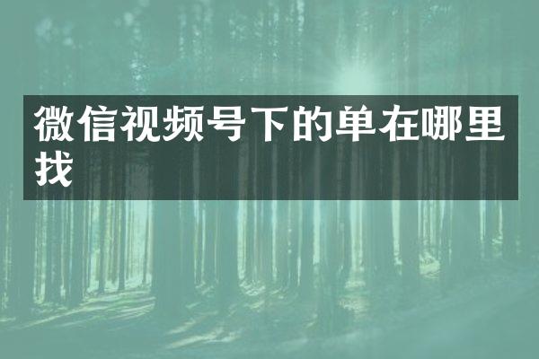 微信视频号下的单在哪里找