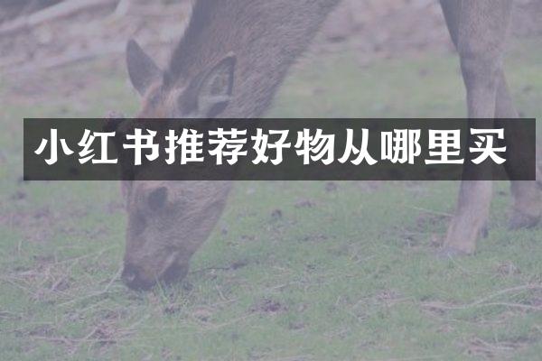 小红书推荐好物从哪里买