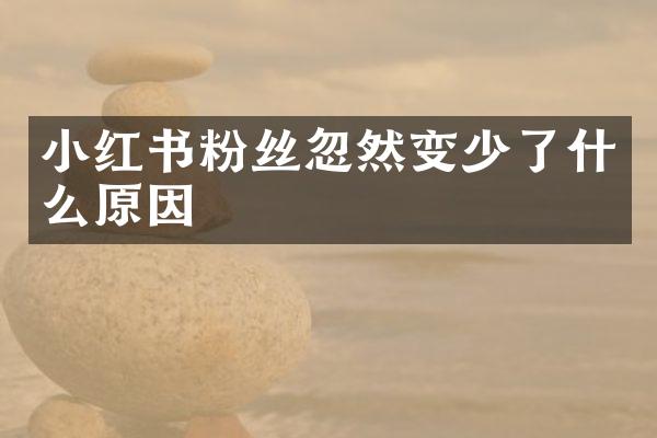 小红书粉丝忽然变少了什么原因