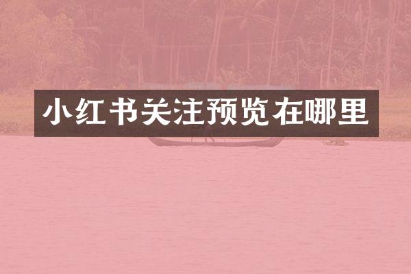 小红书关注预览在哪里