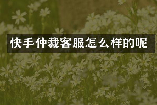 快手仲裁客服怎么样的呢