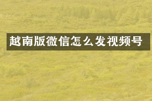 越南版微信怎么发视频号