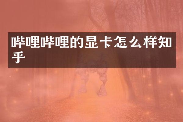 哔哩哔哩的显卡怎么样知乎