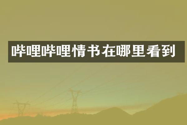 哔哩哔哩情书在哪里看到