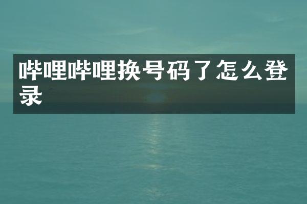 哔哩哔哩换号码了怎么登录