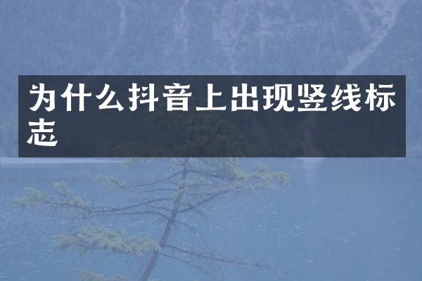 为什么抖音上出现竖线标志