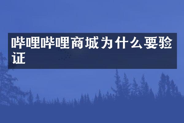 哔哩哔哩商城为什么要验证
