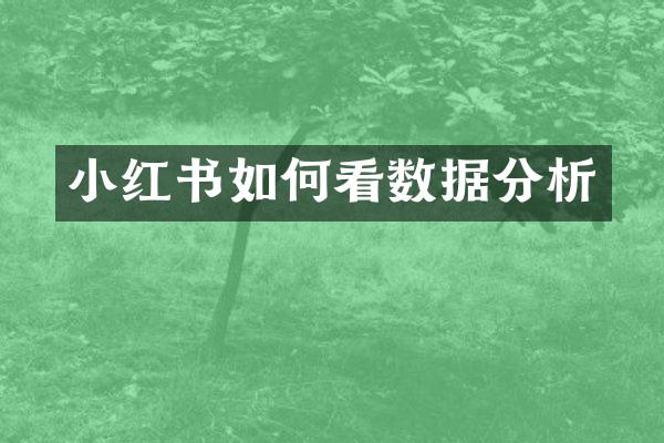 小红书如何看数据分析