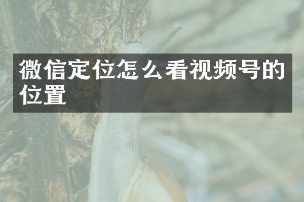 微信定位怎么看视频号的位置