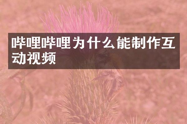 哔哩哔哩为什么能制作互动视频