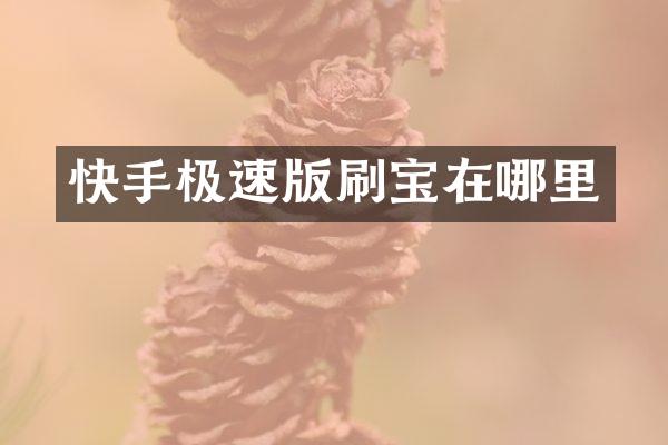 快手极速版刷宝在哪里