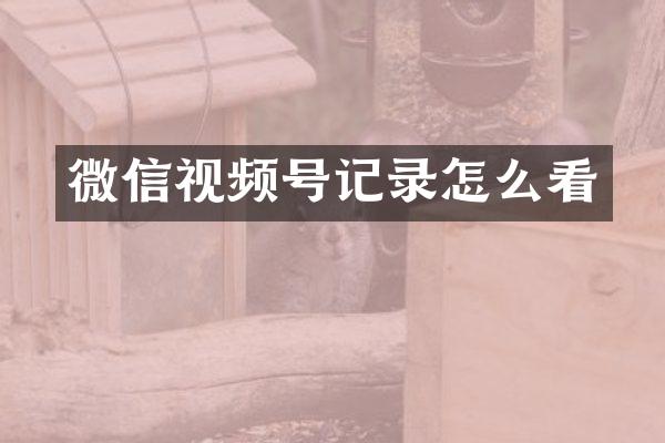 微信视频号记录怎么看