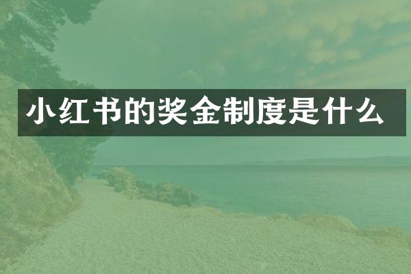 小红书的奖金制度是什么