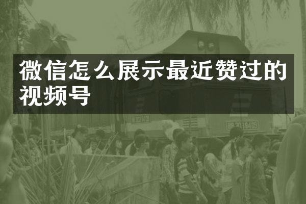 微信怎么展示最近赞过的视频号