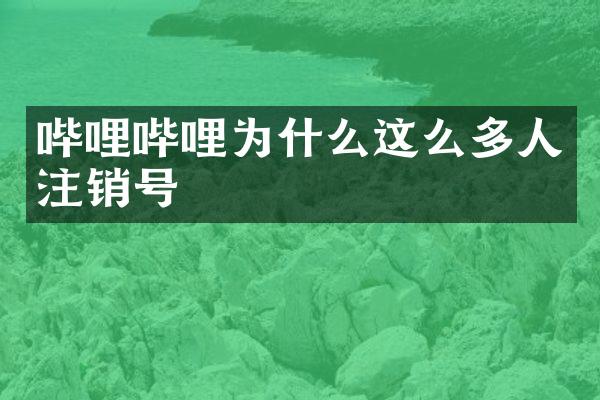 哔哩哔哩为什么这么多人注销号