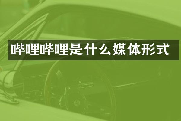 哔哩哔哩是什么媒体形式
