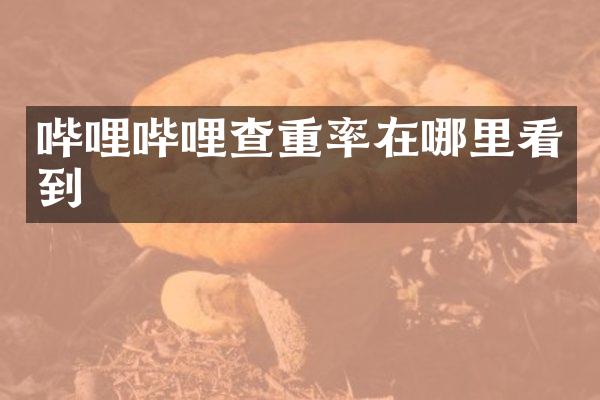 哔哩哔哩查重率在哪里看到