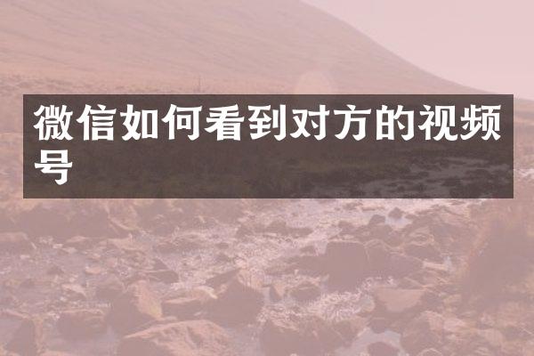 微信如何看到对方的视频号