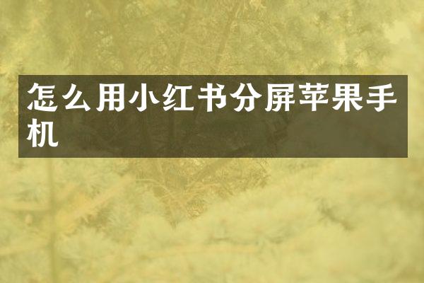 怎么用小红书分屏苹果手机