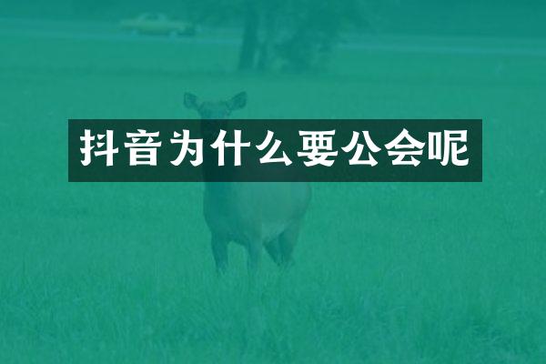抖音为什么要公会呢