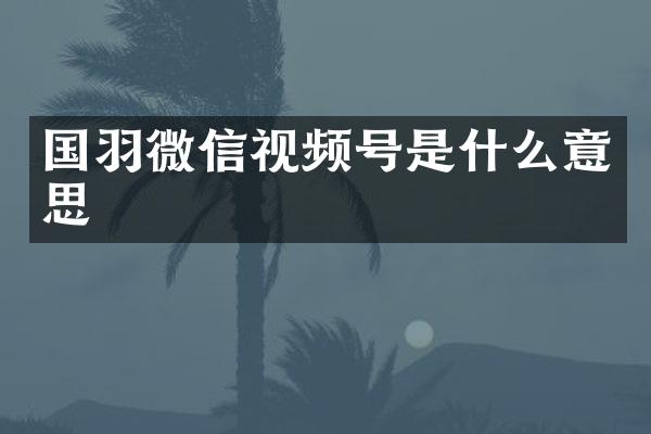 国羽微信视频号是什么意思