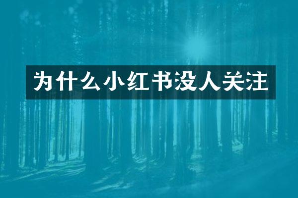 为什么小红书没人关注