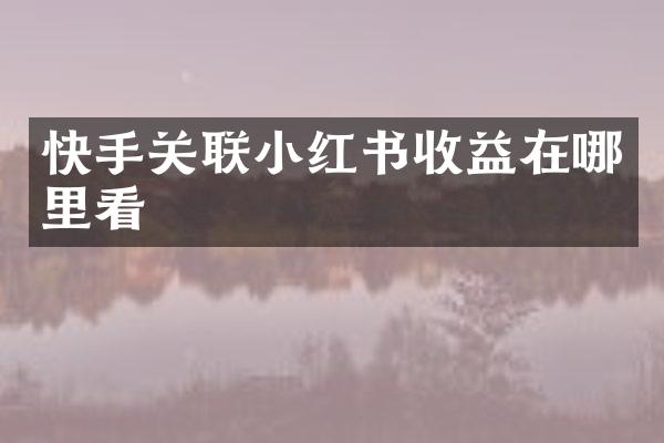 快手关联小红书收益在哪里看