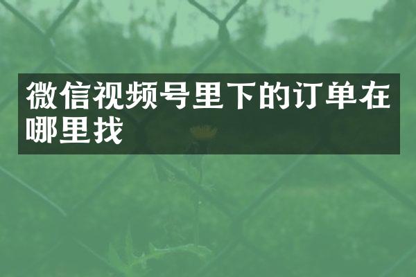 微信视频号里下的订单在哪里找
