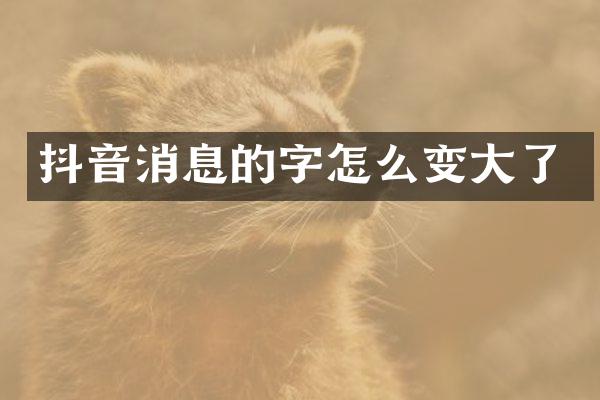 抖音消息的字怎么变大了