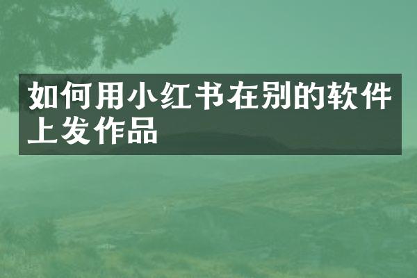 如何用小红书在别的软件上发作品