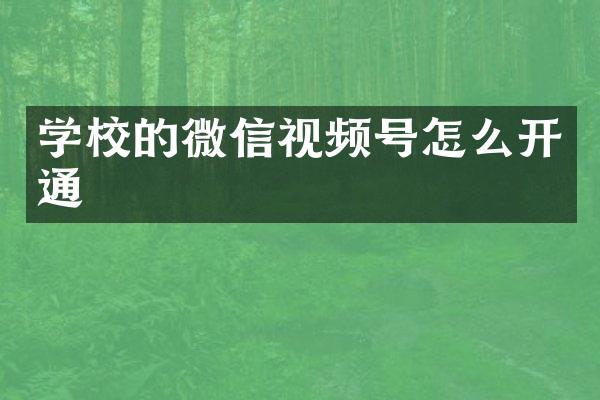 学校的微信视频号怎么开通