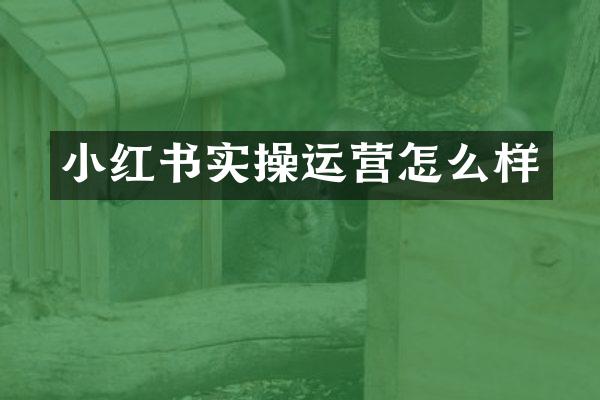 小红书实操运营怎么样