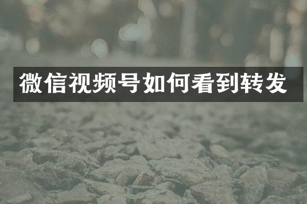 微信视频号如何看到转发