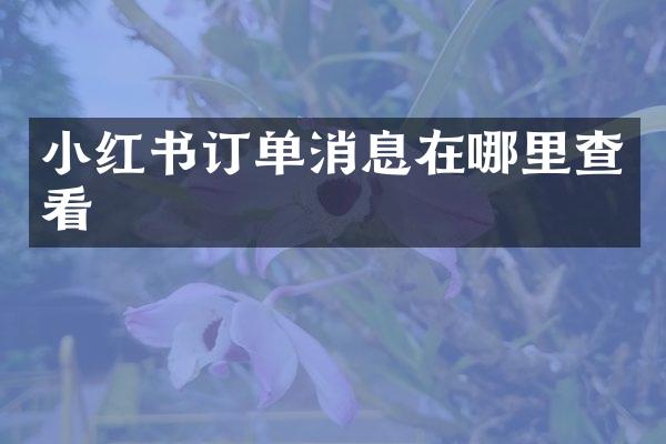 小红书订单消息在哪里查看